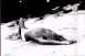 winter13